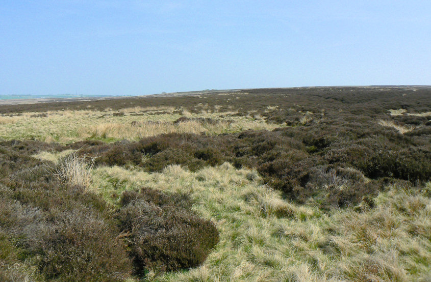 East Moor East Moor